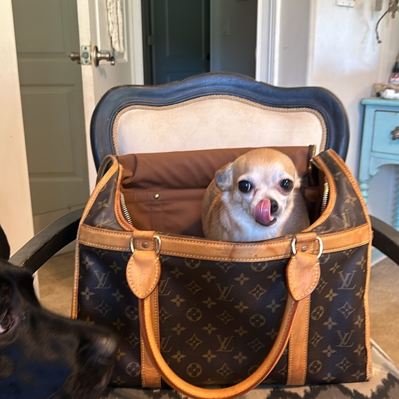 Louis Vuitton | Dog Carrier 40 - Picture 6 of 8
